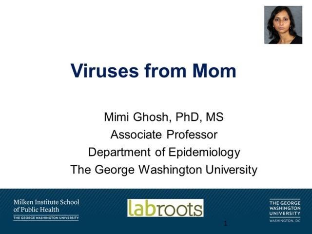 Vertical Transmission of Viruses from Mother to Child