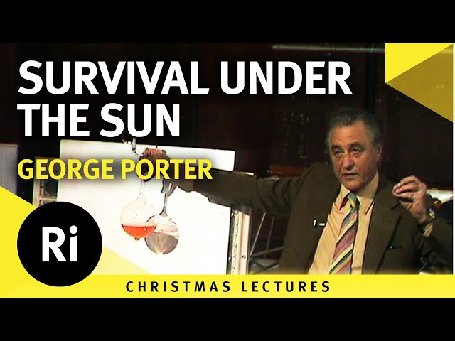 Survival Under the Sun - Harnessing Solar Energy for Sustainable Power - Lecture 6