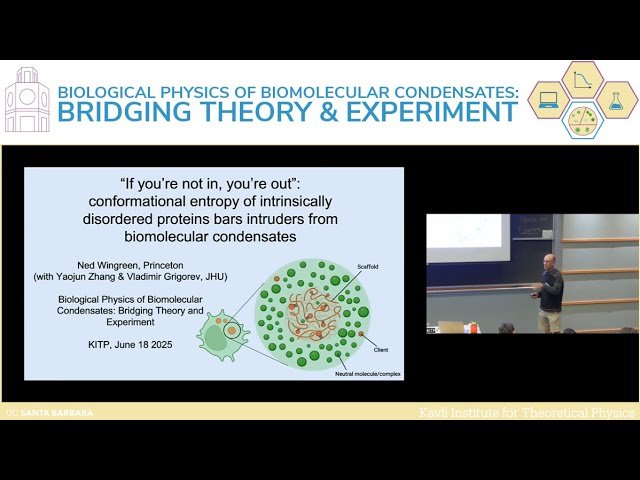 If You're Not In, You're Out - Conformational Entropy of Intrinsically Disordered Proteins Bars Intruders from Biomolecular Condensates