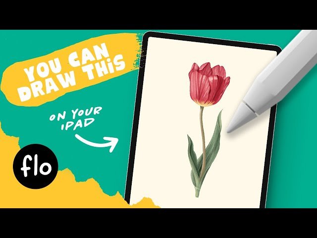 Easy Tulip Drawing in Procreate - Step-by-Step Botanical Art Tutorial
