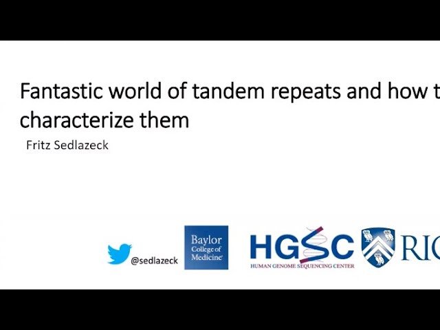 Fantastic World of Tandem Repeats and How to Characterize Them