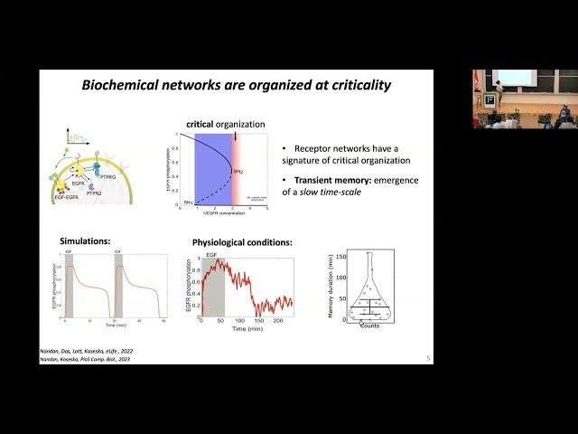 Cellular Computations and Learning