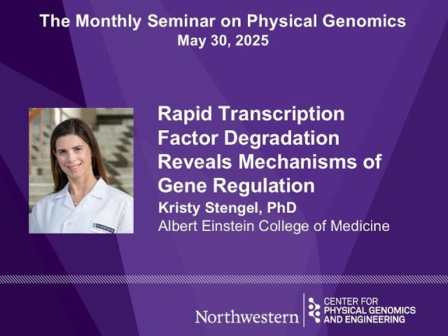 Rapid Transcription Factor Degradation Reveals Mechanisms of Gene Regulation