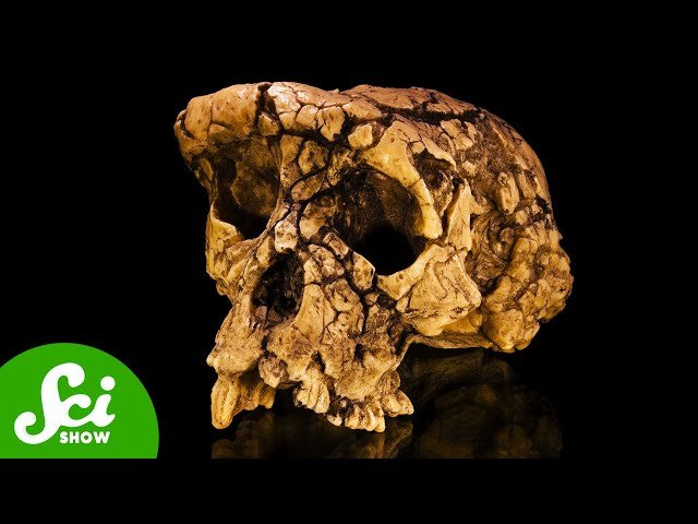 A Researcher Hid This Fossil For Decades - Here's Why