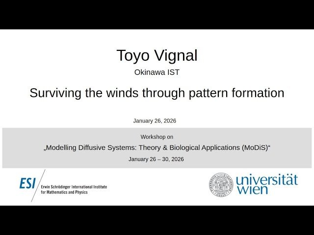 Surviving the Winds Through Pattern Formation