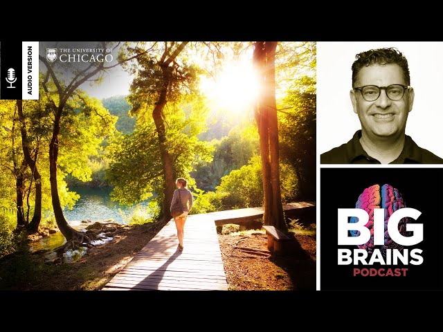 How To Use Nature To Restore Your Focus