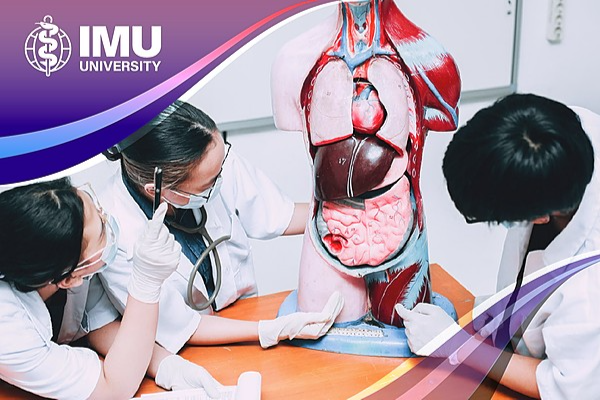 Fundamentals of Anatomy and Physiology