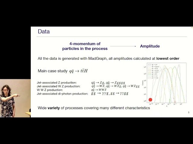 Scaling Laws for Amplitude Surrogates