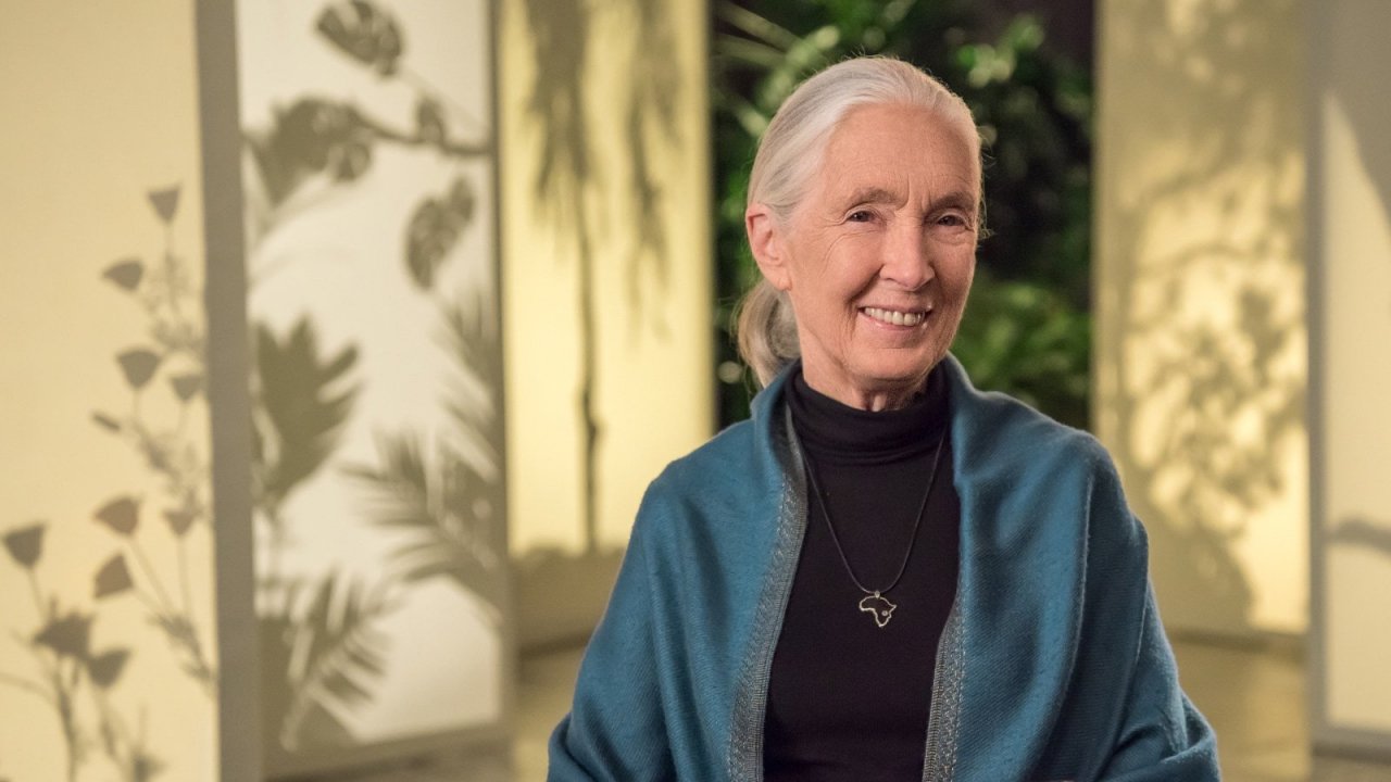 Jane Goodall Teaches Conservation