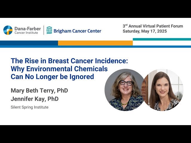 Environmental Chemicals and the Rise in Breast Cancer