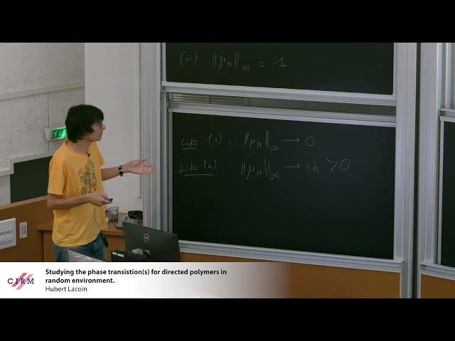 Studying the Phase Transitions for Directed Polymers in Random Environment