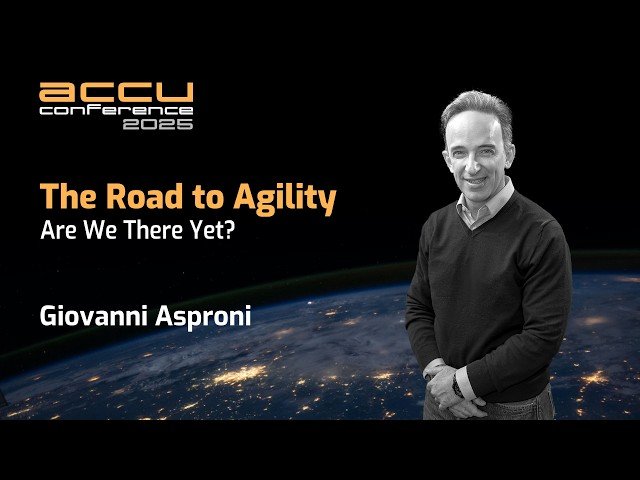 Agile - The Road Towards Organizational Agility - Progress and Challenges Examined