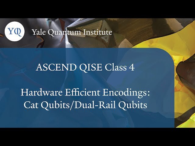 Hardware Efficient Encodings - Cat Qubits and Dual-Rail Qubits - Class 4
