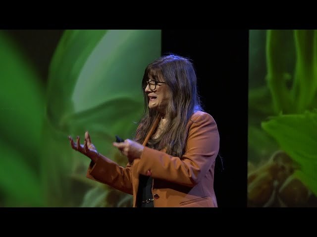 Cultivando el Bienestar - Oportunidades en Plantas Medicinales