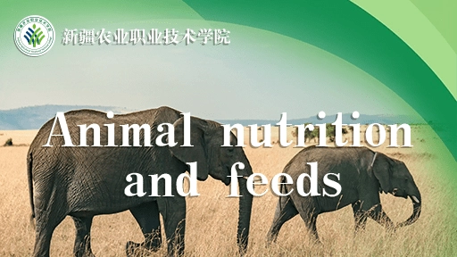 Animal Nutrition and Feeds