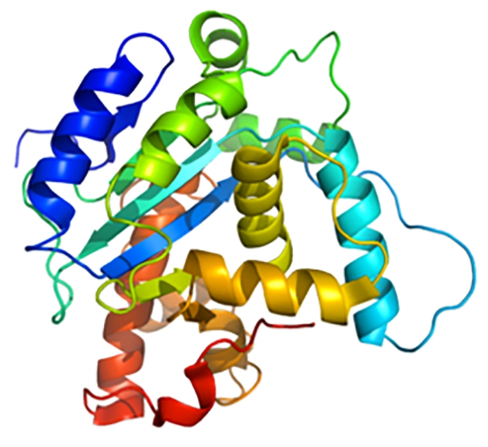 Biomolecules : Structure Function In Health And Disease