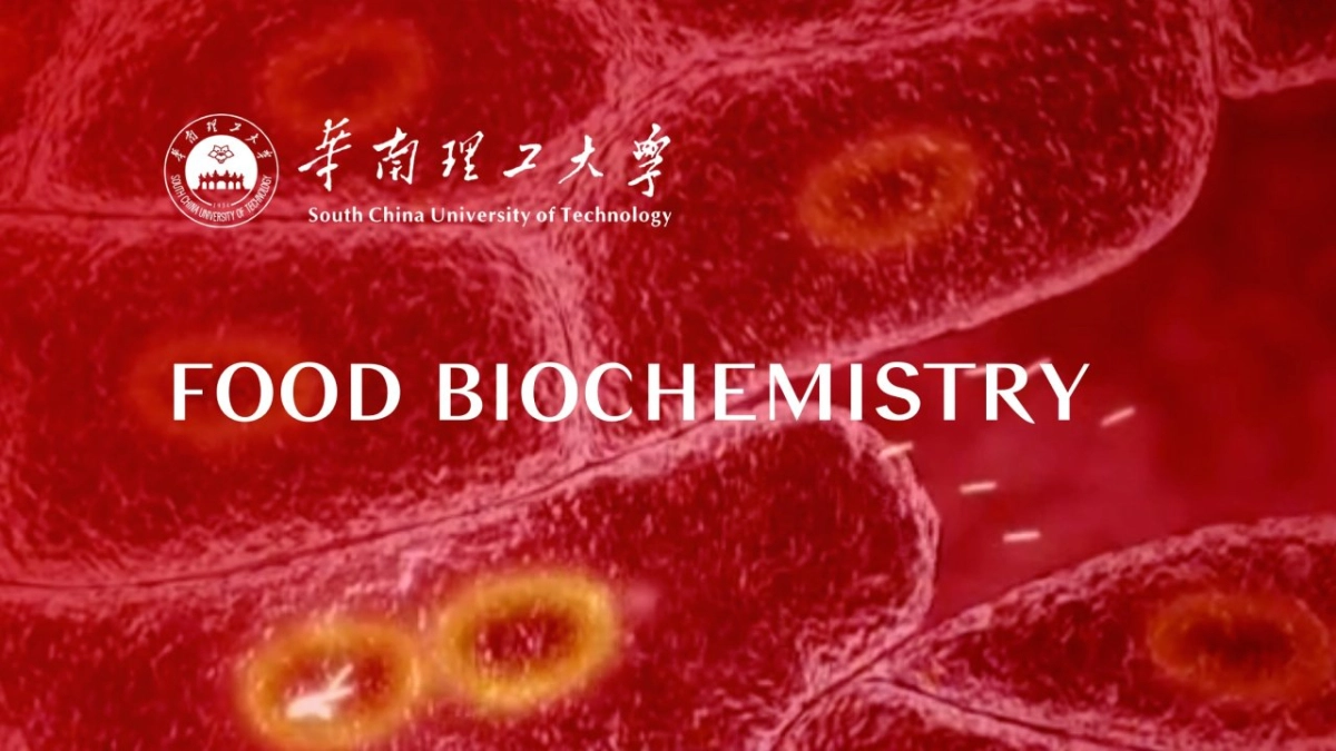 Food Biochemistry