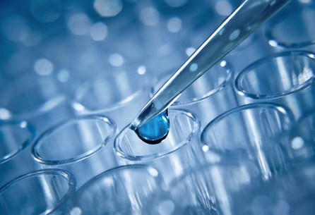 Time To Detox From Our Deceptions