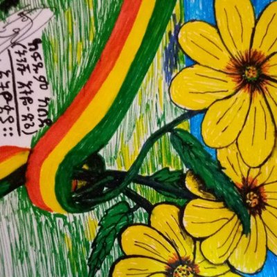 Profile image for Fitsum Kebede Jima