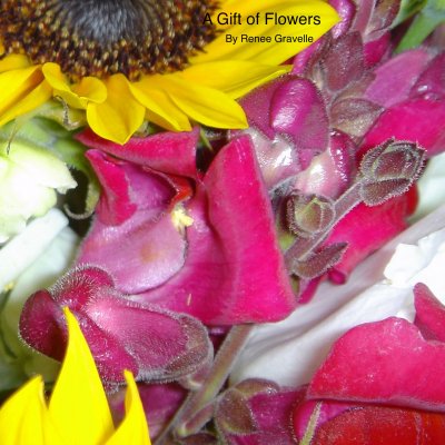 Profile image for Renee Gravelle