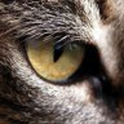 Profile image for Inma de la Torre