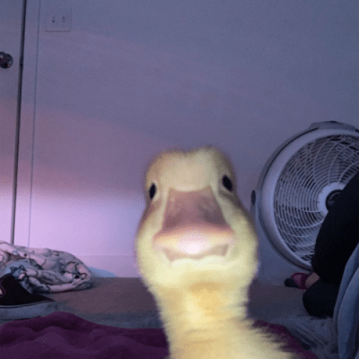 Profile image for omar mohammed alanazi