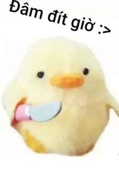 Profile image for Chu Minh Anh