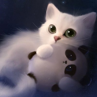 Profile image for Zenab Kadour Ashkar