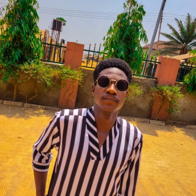 Profile image for Emmanuel Oluwaranti