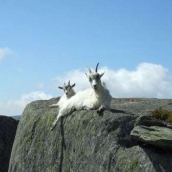 Profile image for David Lloyd-jones