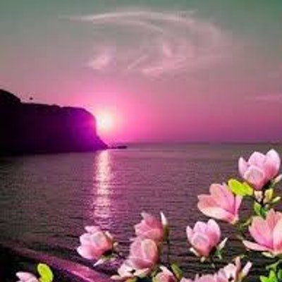 Profile image for Saba Noaman