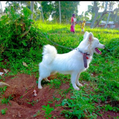 Profile image for George Mungai