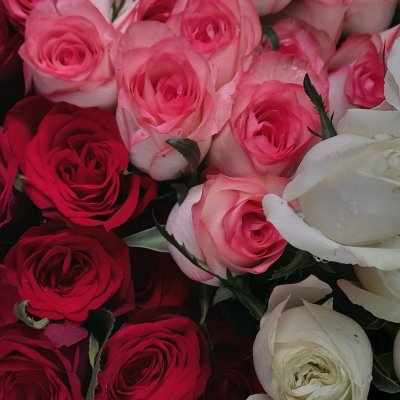 Profile image for Gargi Padate