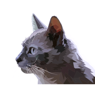 Profile image for Dorji Tsheten