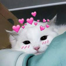 Profile image for Komal Badgujar