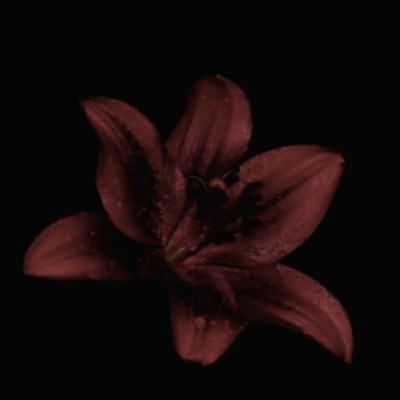 Profile image for Aastha Thakur