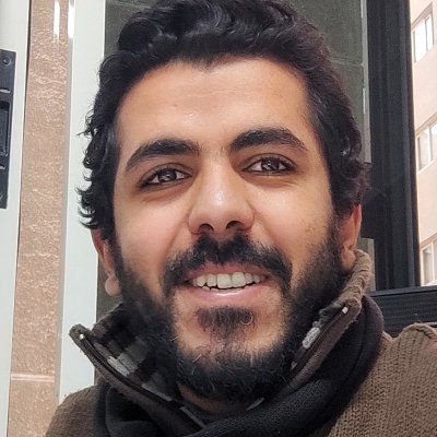 Profile image for Mohey Eldin Moustafa