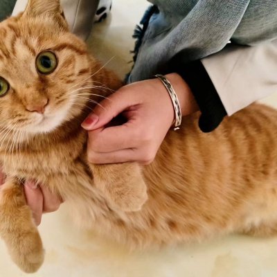 Profile image for Muhammad Mansoor Javaid 