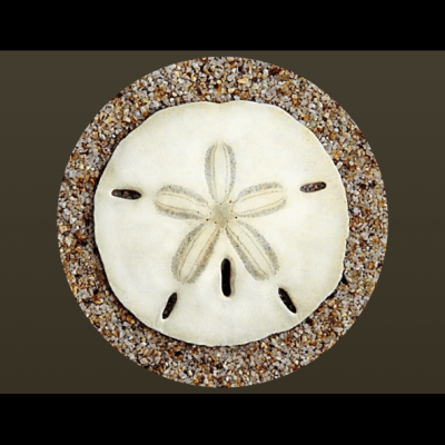 Profile image for Josh