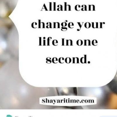 Profile image for A. Meharaj Rumina