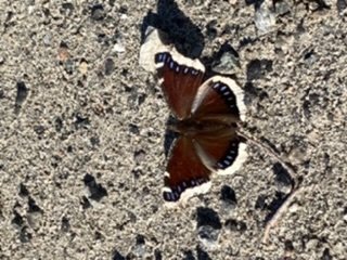 Profile image for Wendy Monette