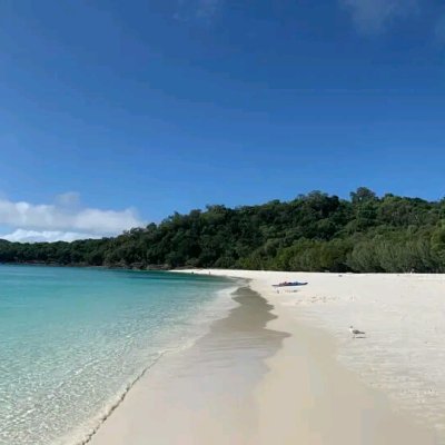 Profile image for Sylva WA BANZA KIBWE 