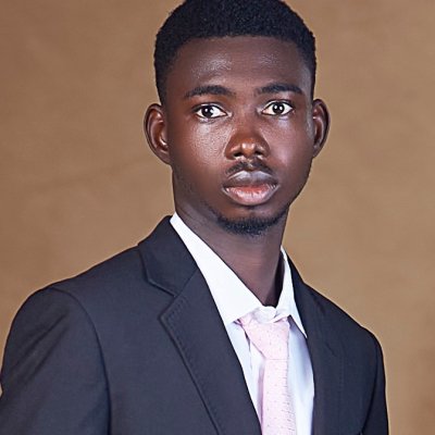 Profile image for Adewale Theophilus Opeyemi 