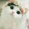 Profile image for Zarqua Jafri