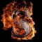 Profile image for Mohammed Siddiq
