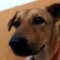 Profile image for Felicya Simamora