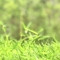 Profile image for Bebin R