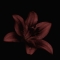 Profile image for Aastha Thakur