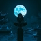 Profile image for Nawaf1 Nawaf