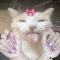 Profile image for Alessandra Holanda De Castro Galdino